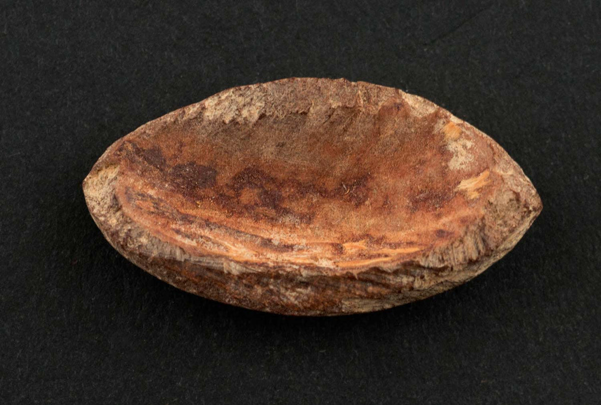 Jeton de jeu d’Abbia Beti – Cameroun