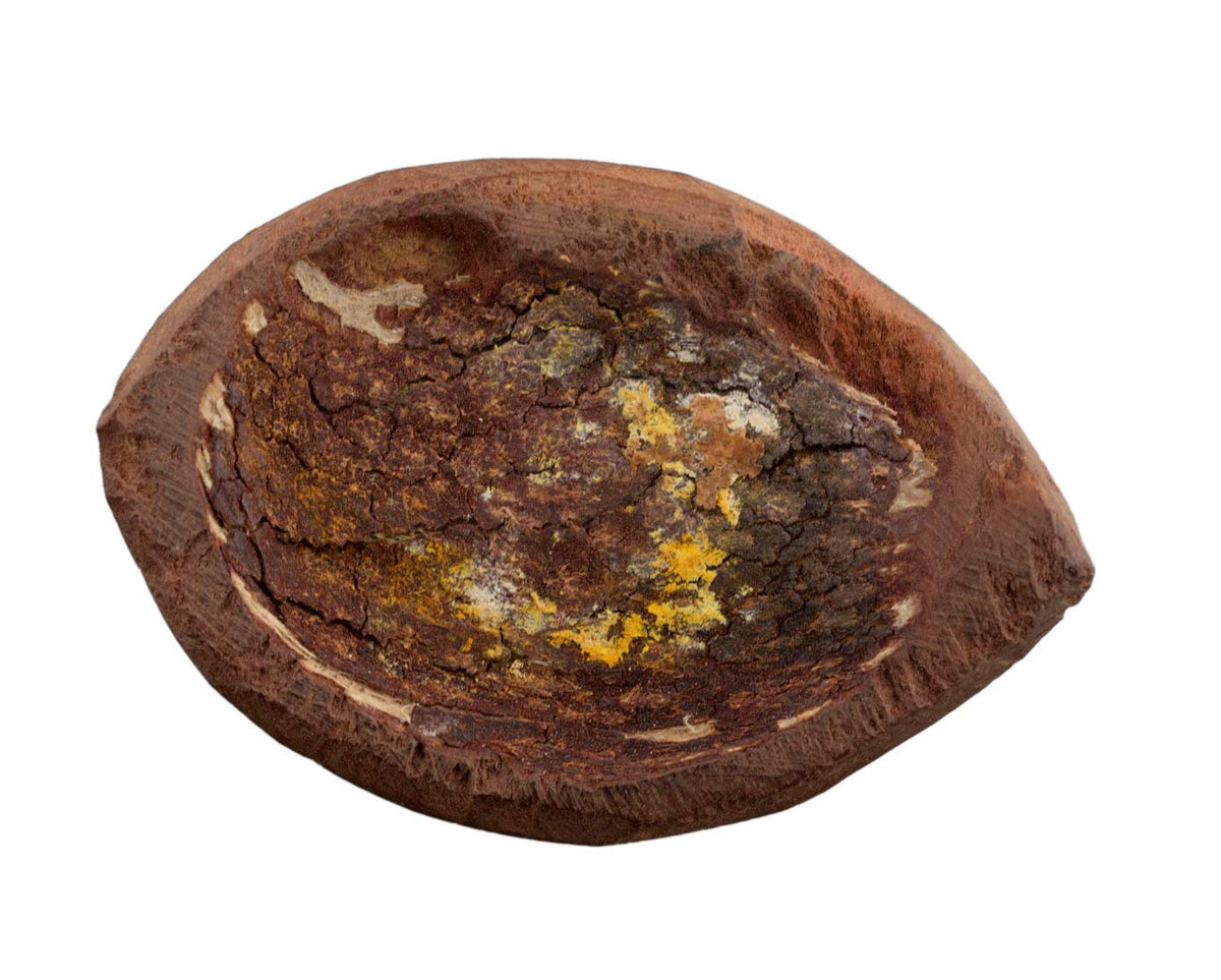 Grand jeton de jeu d’Abbia Beti – Cameroun