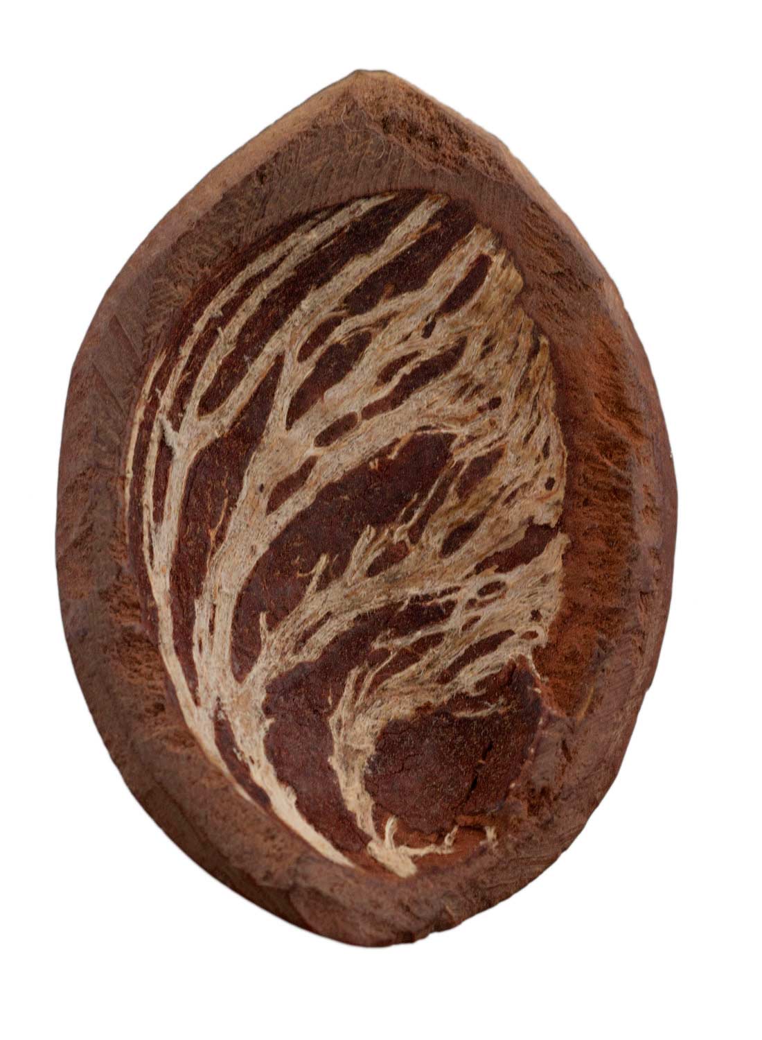 Grand jeton de jeu d’Abbia Beti – Cameroun