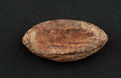 Jeton de jeu d’Abbia Beti – Cameroun