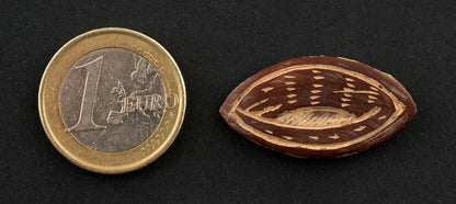 Jeton de jeu d’Abbia Beti – Cameroun