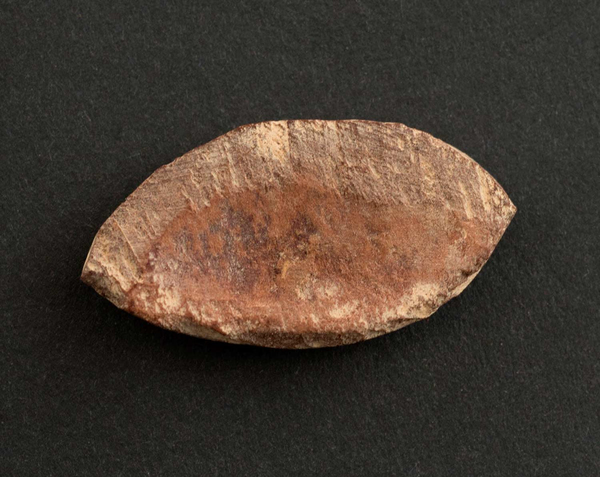 Jeton de jeu d’Abbia Beti – Cameroun