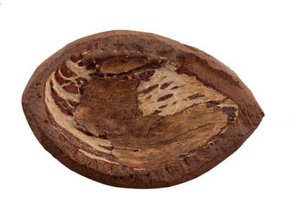 Grand jeton de jeu d’Abbia Beti – Cameroun